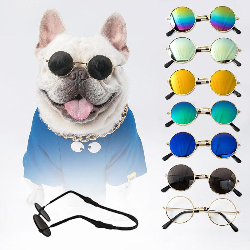 Óculos de sol - Pet Store Br