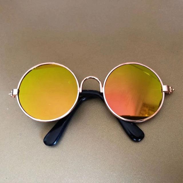 Óculos de sol - Pet Store Br